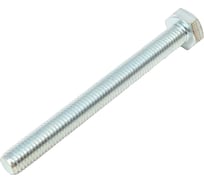 Болт SWFS DIN933 М10х100, 25 шт. тов-088903