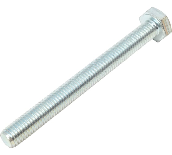 Болт SWFS DIN933 М10х100, 25 шт. тов-088903 1