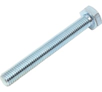 Болт SWFS DIN933 М10х80, 25 шт. тов-088919