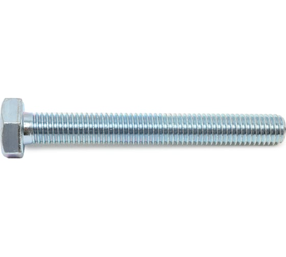 Болт SWFS DIN933 М10х80, 25 шт. тов-088919