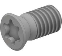 Винт М5 TORX T20 M50P080-128 для механического крепления пластин Русский Инструмент ri.486.119