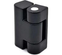 Петля боковая РУССКИЕ ЗАМКИ RZP 593-2 (малая, чёрная), 2 шт 0093