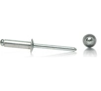 Комбинированные заклепки KITKREP 3,2х6, цинк, 1000 шт. 10 боксов RI32006G