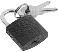 Навесной замок TUNDRA ZN1025 25 мм 5142393