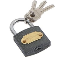 Навесной замок TUNDRA ZN1032 32 мм 4594963