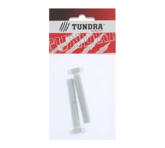 Болт с шестигранной головкой TUNDRA DIN 933, М10х60, к.п. 8.8, цинк, 2 шт. 7151253