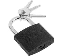 Навесной замок ТУНДРА 38 мм, 3 ключа, подвес 5496083