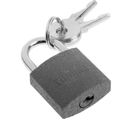 Навесной замок TUNDRA 25 мм, 2 ключа, подвес 5496081