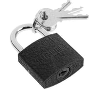 Навесной замок ТУНДРА 32 мм, 3 ключа, подвес 5496082