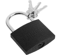 Навесной замок TUNDRA 63 мм, 3 ключа, подвес 5496085