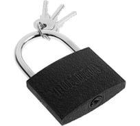 Навесной замок ТУНДРА 75 мм, 3 ключа, подвес 5496086