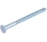 Шуруп BISKREP сантехнический, 10x110мм, 25шт, пакет 2-00674 2