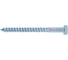 Шуруп BISKREP сантехнический, 10x110мм, 25шт, пакет 2-00674 3