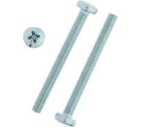 Винт TUNDRA пкр., DIN 7985, М5x50, цинк, 6 шт. 7156535