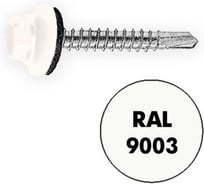 Саморез кровельный Admiral Stars 4,8 х 29 RAL 9003 белый 1 ящ - 4000 шт ADMIRAL 54397510