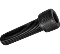 Винт высокопрочный 23 БОЛТА ПР 10х45 мм к.п.12.9 черный DIN912, 100 шт. УТ000011247ПРф100