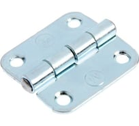 Накладная петля ТУНДРА ПН5-40 покрытие цинк, 1 шт. 5294079