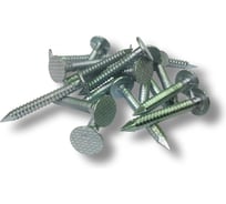 Кровельные оцинкованные гвозди для гибкой черепицы с кольцевой накаткой Forest RN 35/35 RI CNK (5 KG) МБ000012147