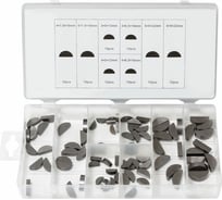 Сегментные шпонки Forsage 80 пр. 12695 F-822