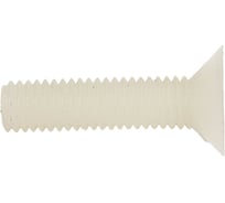 Винт с потайной головкой и прямым шлицем DINFIX DIN 963, полиамид (пластик), M5x20, 10 шт. 00-00001525