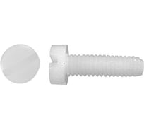 Винт с цилиндрической головкой со шлицем DINFIX DIN 84, полиамид (пластик), M6x12, 10 шт. 00-00001503