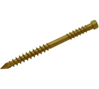 Саморез для террас INFIX двойная резьба 5х70 клинок лам.ц коричн 1000 часов TX 20 300 шт 84346