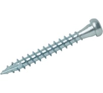 Саморез для перфорированного крепежа INFIX скругленный 5х70 Ц TX 20 250 шт 84366