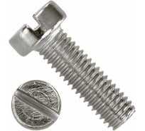 Винт ЦКИ DIN84, М5х8мм, Ц, SL, 8.0х1.2мм, аналог ГОСТ 1491-80, 100шт 6401307