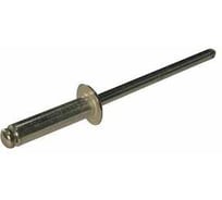 Заклепка ЦКИ тяговая, Ал-Mg2.5/Ст, плоская, 4.8х20мм, REX, 10шт 6438807