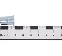 Заклёпка резьбовая стандартный борт М8, 200 шт Крепстор 4665316996391