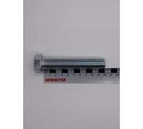 Болт цинк 18х100 Крепстор DIN 933, 10 шт 4665316941551