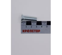 Винт Крепстор 8х30 с потайной головкой DIN 965, 100 шт 4665316943647