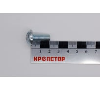Винт Крепстор 8х20 с прессшайбой DIN 967, 150 шт 4665316944828
