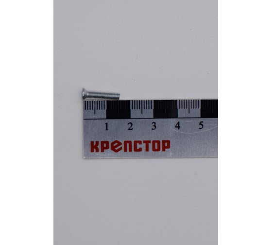 Винт Крепстор 3х15 с потайной головкой DIN 965, 1000 шт 4665316942886