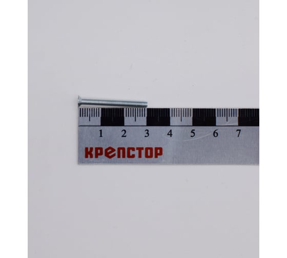 Винт Крепстор 3х30 с потайной головкой DIN 965, 1000 шт 4665316942916