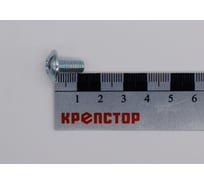 Винт Крепстор 6х12 с прессшайбой DIN 967, 200 шт 4665316944705