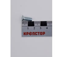 Винт Крепстор 6х16 с потайной головкой DIN 965, 300 шт 4665316943432