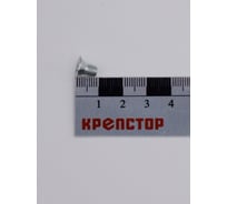 Винт Крепстор 5х8 с потайной головкой DIN 965 600 шт 4665316943357
