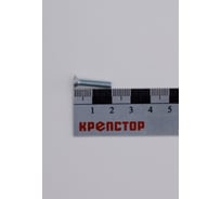 Винт Крепстор 4х20 с потайной головкой DIN 965, 500 шт 4665316943043