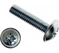 Винт Крепстор 4х20 с прессшайбой DIN 967, 500 шт 4665316944422