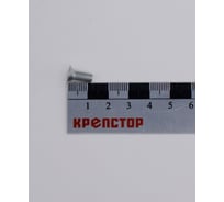 Винт Крепстор 5х12 с потайной головкой DIN 965, 500 шт 4665316943210
