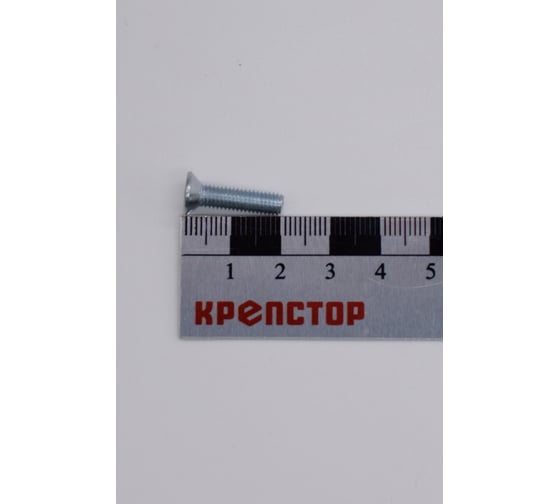 Винт Крепстор 5х20 с потайной головкой DIN 965, 300 шт 4665316943234