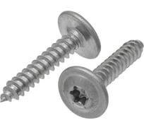 Саморез Нержавеющий KREPFIELD 4,2х25 мм ART 9999 С1 самонарезающий c прессшайбой TX20 30 шт 9999С1САМОРЕЗ4.2X25ТХ-30