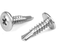 Саморез Edelfix с прессшайбой ART.9998 4,2x16 мм А2, сверлоконечный, крест/шл «клоп», 20 шт 999824216 20