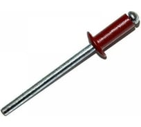 Комбинированные заклепки KITKREP 4,0х10/цинк, RAL 3005, 1000 шт. RIR3005-40010G1