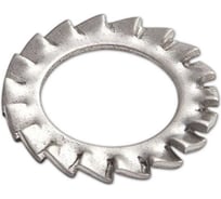 Шайба зубчатая 23 Болта нержавеющая М8 тип А DIN 6798, 50 шт. 00-00005141ф50