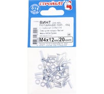 Винт Стройбат потайной, DIN 965 М4х12 с гайкой, DIN 934, белый цинк 1000 шт, 559960