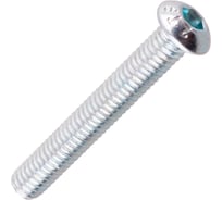 Винт с внутренним шестигранником Стройбат DIN 7380 М 8х 40, белый цинк 40 шт, 618890