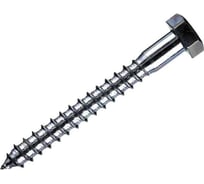 Шуруп BlackWeld для крепления деревянных лаг, 10х140мм (300) 145365