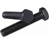 Болт Море-Метизов DIN 933 высокопрочный 12.9 оксидированный M30х70 мм, 2 шт BOLT93330702M